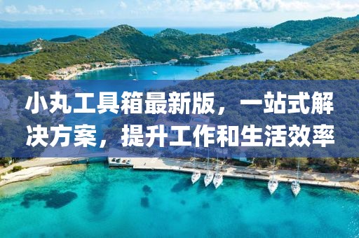 小丸工具箱最新版，一站式解決方案，提升工作和生活效率