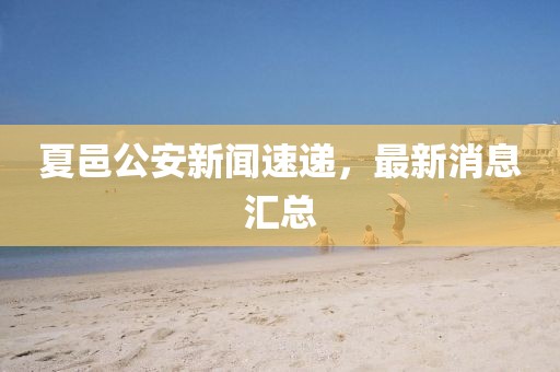 夏邑公安新聞速遞，最新消息匯總