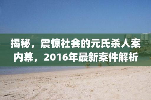 揭秘，震驚社會的元氏殺人案內(nèi)幕，2016年最新案件解析
