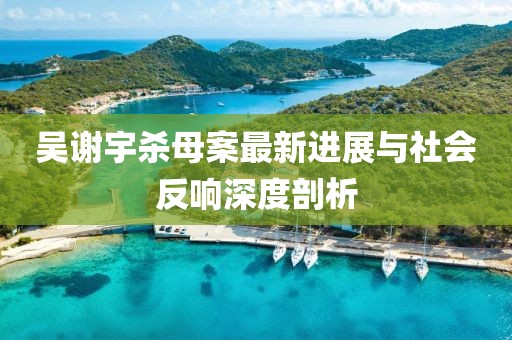 吳謝宇殺母案最新進(jìn)展與社會(huì)反響深度剖析