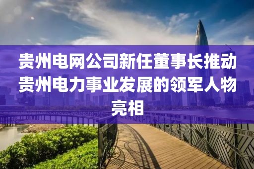 貴州電網公司新任董事長推動貴州電力事業(yè)發(fā)展的領軍人物亮相