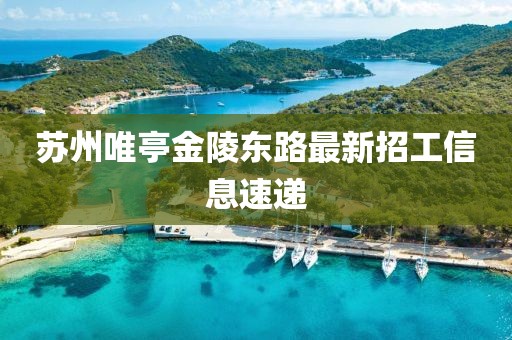 蘇州唯亭金陵東路最新招工信息速遞