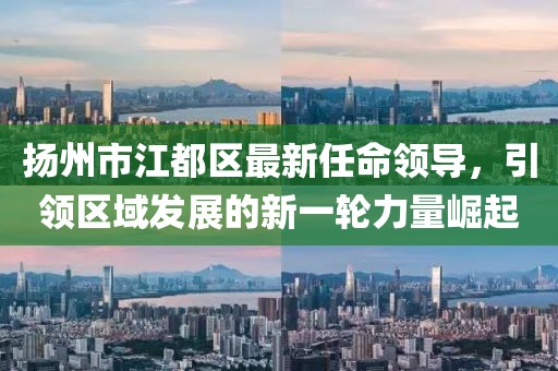 揚州市江都區(qū)最新任命領導，引領區(qū)域發(fā)展的新一輪力量崛起