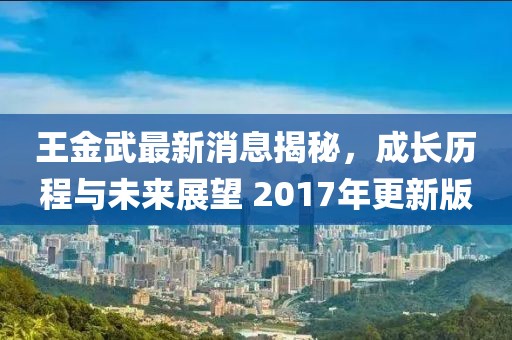 王金武最新消息揭秘，成長歷程與未來展望 2017年更新版