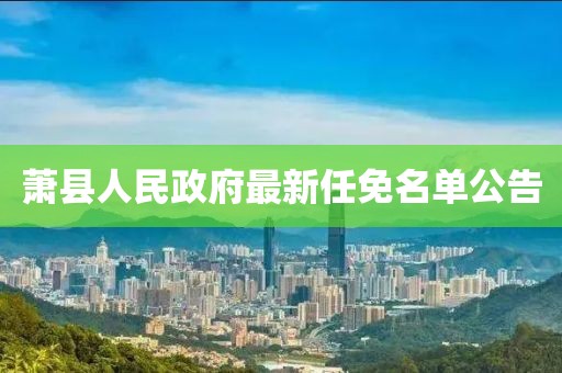 蕭縣人民政府最新任免名單公告