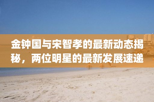 金鐘國與宋智孝的最新動態(tài)揭秘，兩位明星的最新發(fā)展速遞