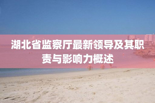 湖北省監(jiān)察廳最新領(lǐng)導(dǎo)及其職責(zé)與影響力概述