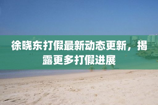 徐曉東打假最新動(dòng)態(tài)更新，揭露更多打假進(jìn)展