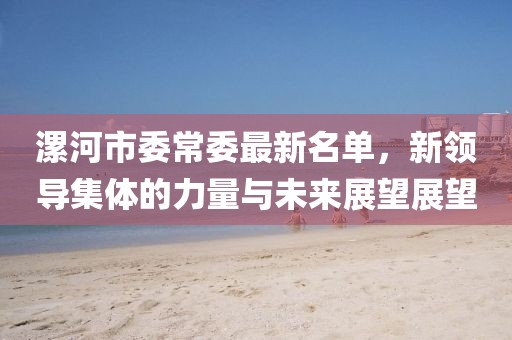 漯河市委常委最新名單，新領(lǐng)導(dǎo)集體的力量與未來展望展望