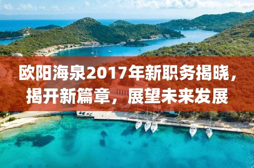 歐陽(yáng)海泉2017年新職務(wù)揭曉，揭開(kāi)新篇章，展望未來(lái)發(fā)展
