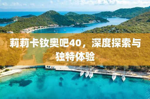 莉莉卡釹奧吧40，深度探索與獨(dú)特體驗(yàn)
