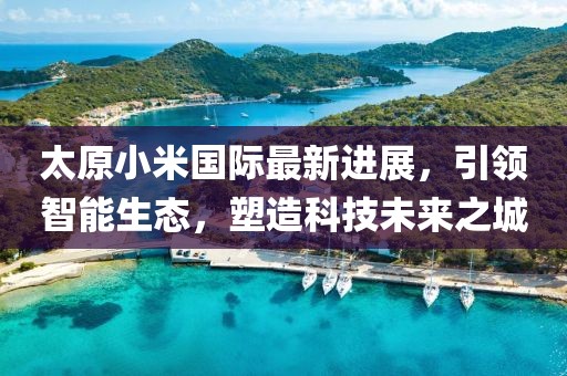 太原小米國(guó)際最新進(jìn)展，引領(lǐng)智能生態(tài)，塑造科技未來(lái)之城