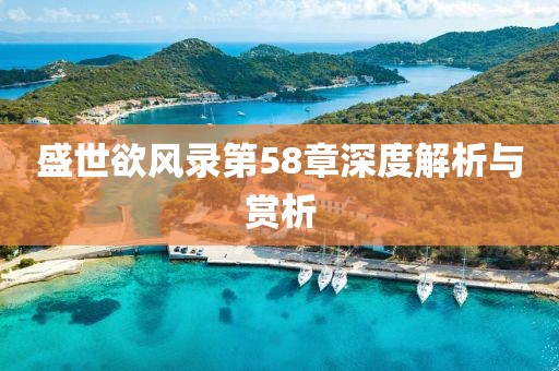 盛世欲風(fēng)錄第58章深度解析與賞析