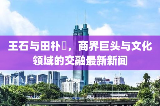 王石與田樸琤，商界巨頭與文化領(lǐng)域的交融最新新聞