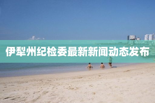 伊犁州紀(jì)檢委最新新聞動(dòng)態(tài)發(fā)布