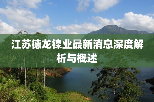 江蘇德龍鎳業(yè)最新消息深度解析與概述