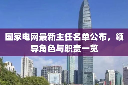 國(guó)家電網(wǎng)最新主任名單公布，領(lǐng)導(dǎo)角色與職責(zé)一覽