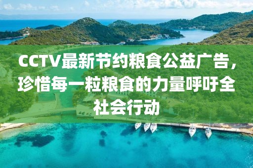 CCTV最新節(jié)約糧食公益廣告，珍惜每一粒糧食的力量呼吁全社會行動