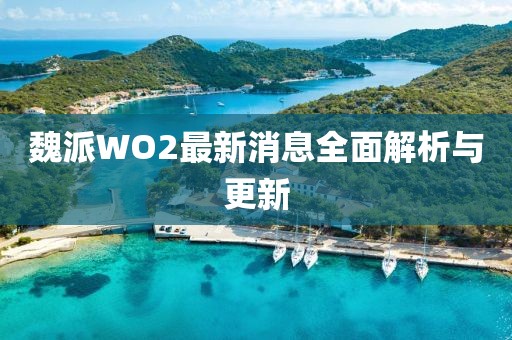 魏派WO2最新消息全面解析與更新