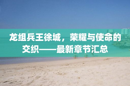 龍組兵王徐城，榮耀與使命的交織——最新章節(jié)匯總