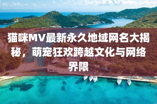 貓咪MV最新永久地域網(wǎng)名大揭秘，萌寵狂歡跨越文化與網(wǎng)絡(luò)界限