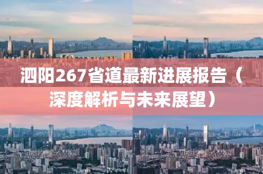 泗陽267省道最新進(jìn)展報告（深度解析與未來展望）