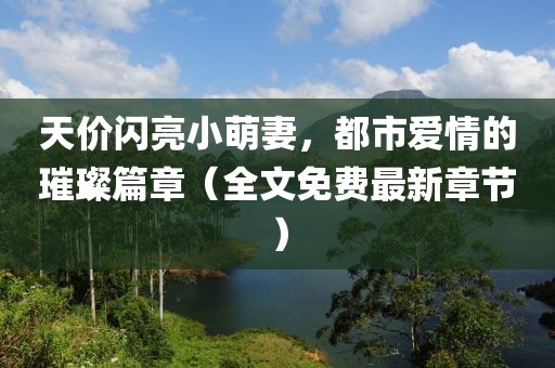 天價閃亮小萌妻，都市愛情的璀璨篇章（全文免費最新章節(jié)）