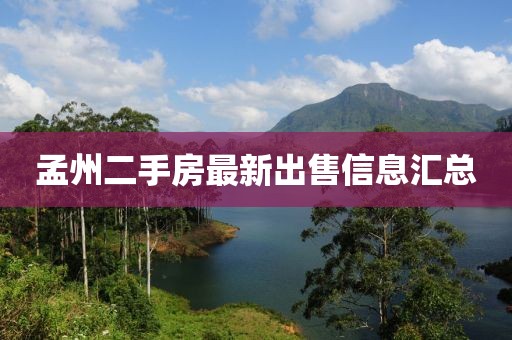 開心的時刻 第5頁