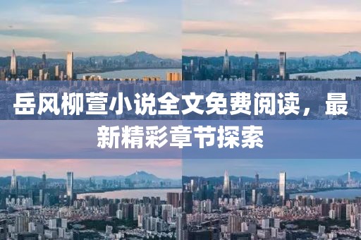 岳風(fēng)柳萱小說(shuō)全文免費(fèi)閱讀，最新精彩章節(jié)探索