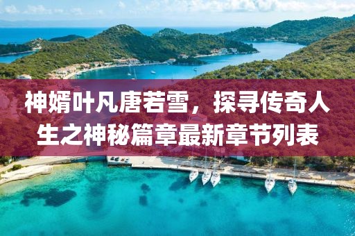 神婿葉凡唐若雪，探尋傳奇人生之神秘篇章最新章節(jié)列表