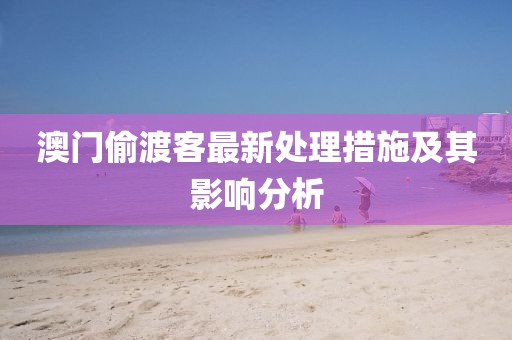 澳門偷渡客最新處理措施及其影響分析