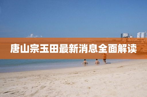 唐山宗玉田最新消息全面解讀