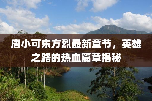 唐小可東方烈最新章節(jié)，英雄之路的熱血篇章揭秘