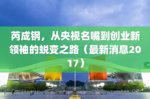 芮成鋼，從央視名嘴到創(chuàng)業(yè)新領(lǐng)袖的蛻變之路（最新消息2017）