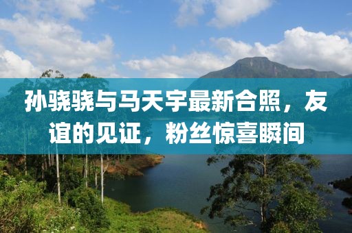 孫驍驍與馬天宇最新合照，友誼的見證，粉絲驚喜瞬間