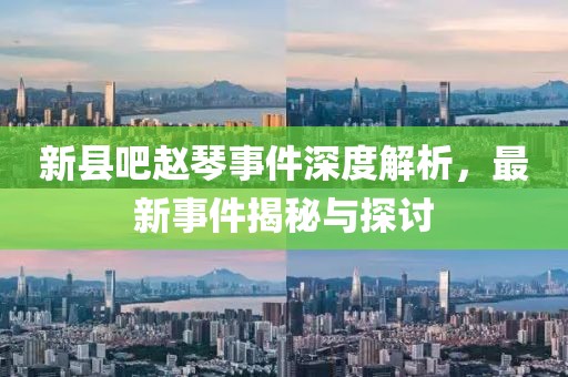 新縣吧趙琴事件深度解析，最新事件揭秘與探討