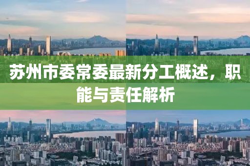 蘇州市委常委最新分工概述，職能與責(zé)任解析