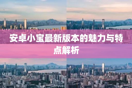 安卓小寶最新版本的魅力與特點(diǎn)解析