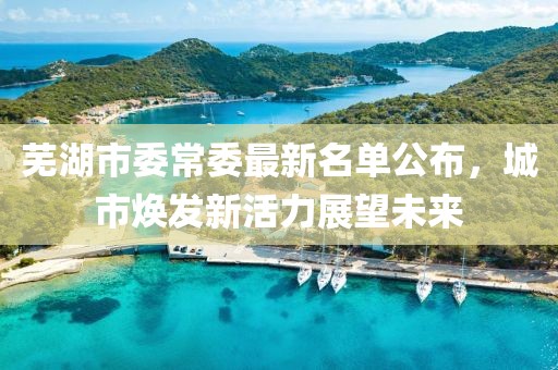 蕪湖市委常委最新名單公布，城市煥發(fā)新活力展望未來