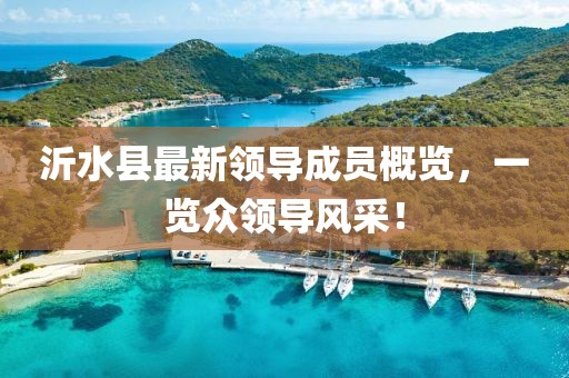 沂水縣最新領(lǐng)導成員概覽，一覽眾領(lǐng)導風采！