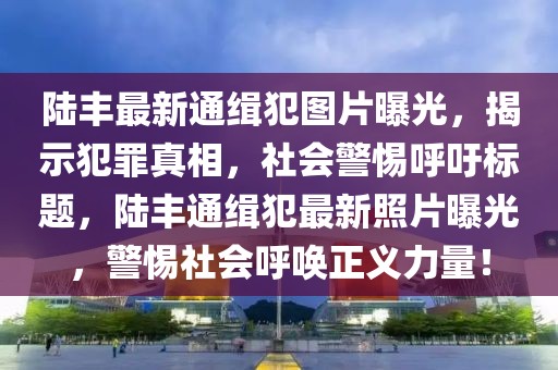 陸豐最新通緝犯圖片曝光，揭示犯罪真相，社會(huì)警惕呼吁標(biāo)題，陸豐通緝犯最新照片曝光，警惕社會(huì)呼喚正義力量！