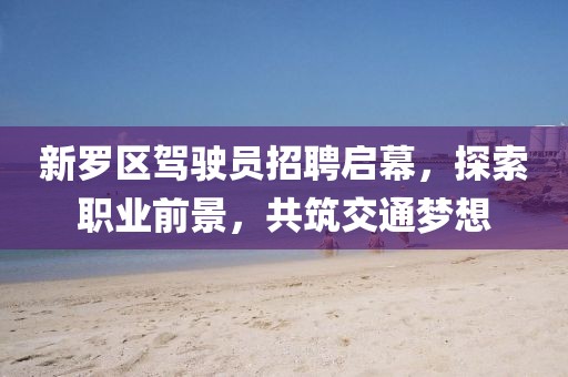 新羅區(qū)駕駛員招聘啟幕，探索職業(yè)前景，共筑交通夢想