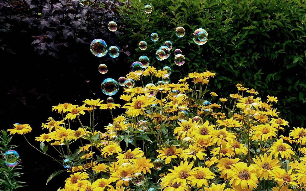 祥臨鐵路最新動態(tài)解析，全面解讀最新消息