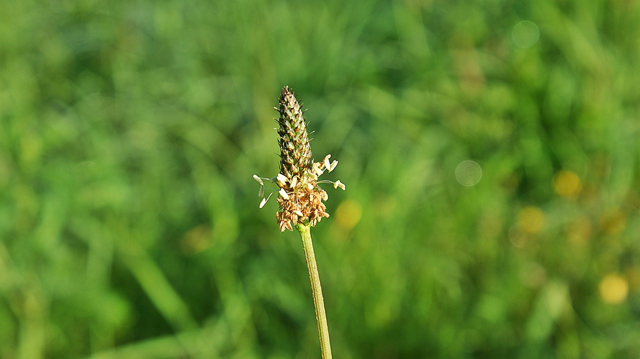 怕你分心 第25頁(yè)