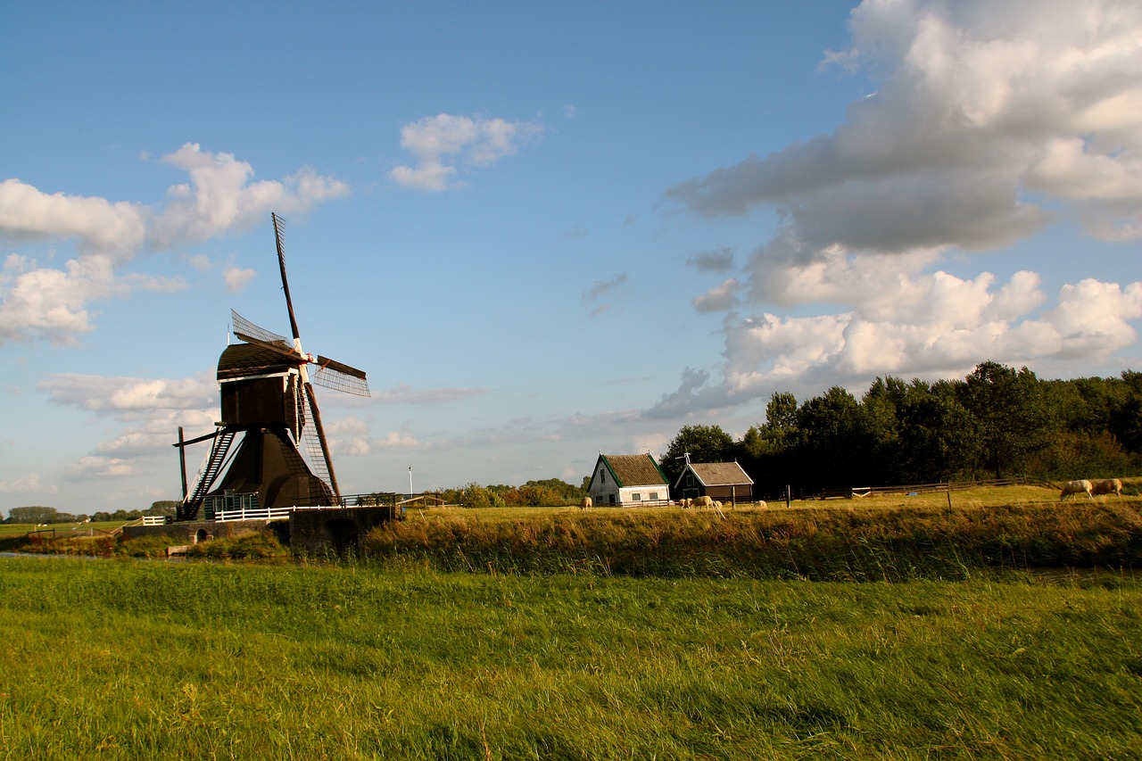 沙鍋村改造最新動(dòng)態(tài)，重塑鄉(xiāng)村風(fēng)貌，引領(lǐng)鄉(xiāng)村振興之路