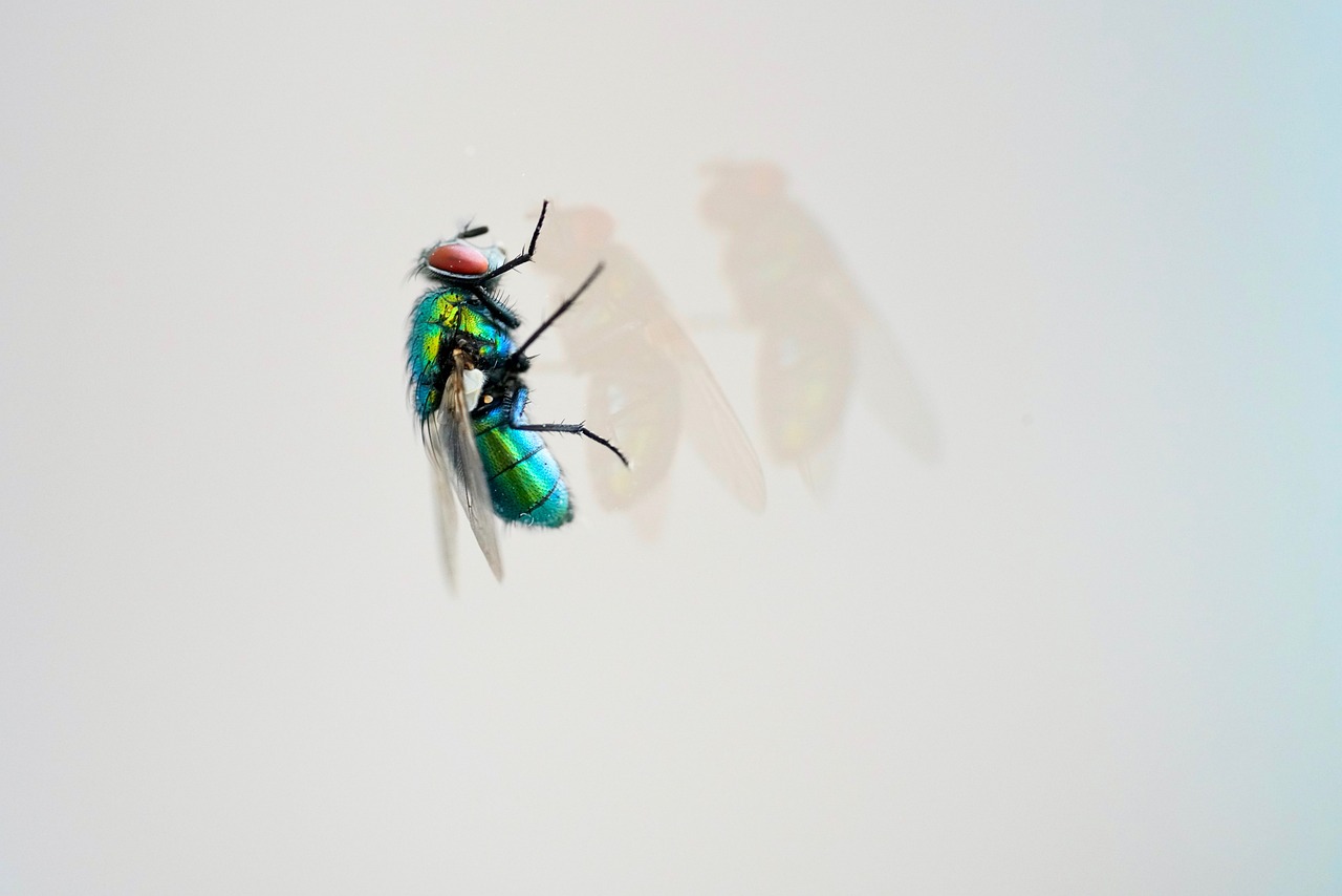 天天炫斗血爺戰(zhàn)力傲視群雄，最新戰(zhàn)力震撼來(lái)襲