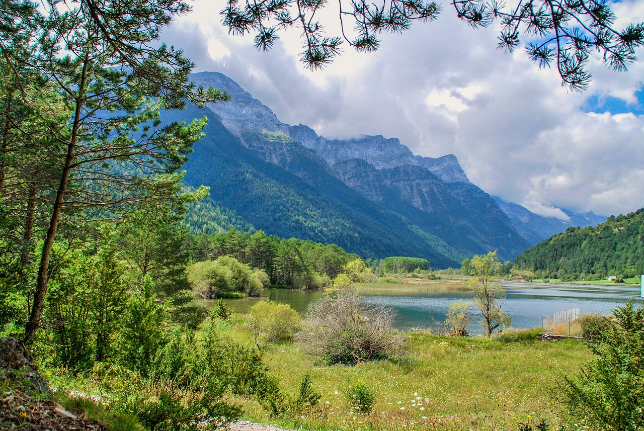 阜康五鑫銅業(yè)招聘最新動態(tài)發(fā)布