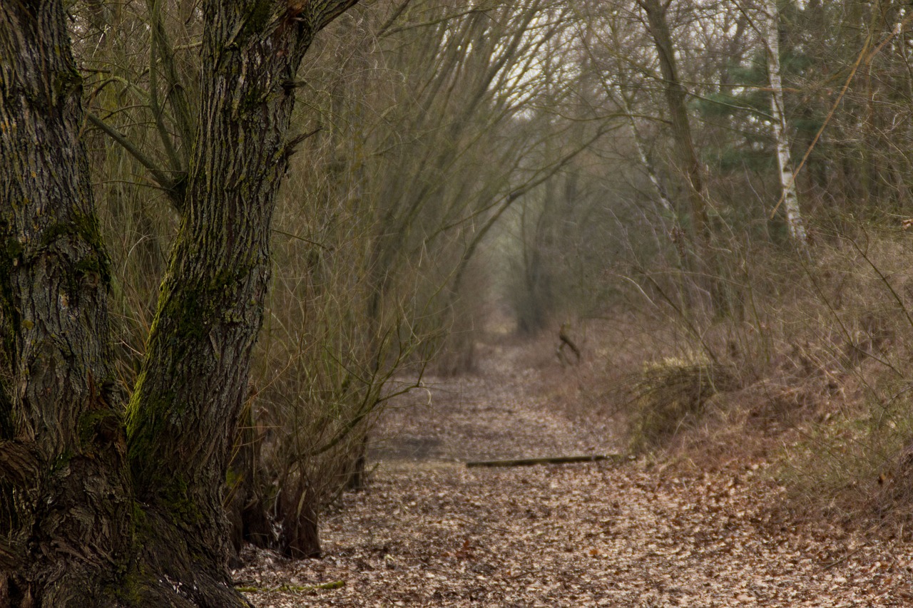 山海四季城最新價(jià)格動(dòng)態(tài)與市場深度分析