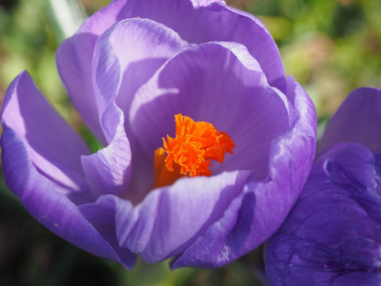 板芙純水岸最新動(dòng)態(tài)與進(jìn)展速遞