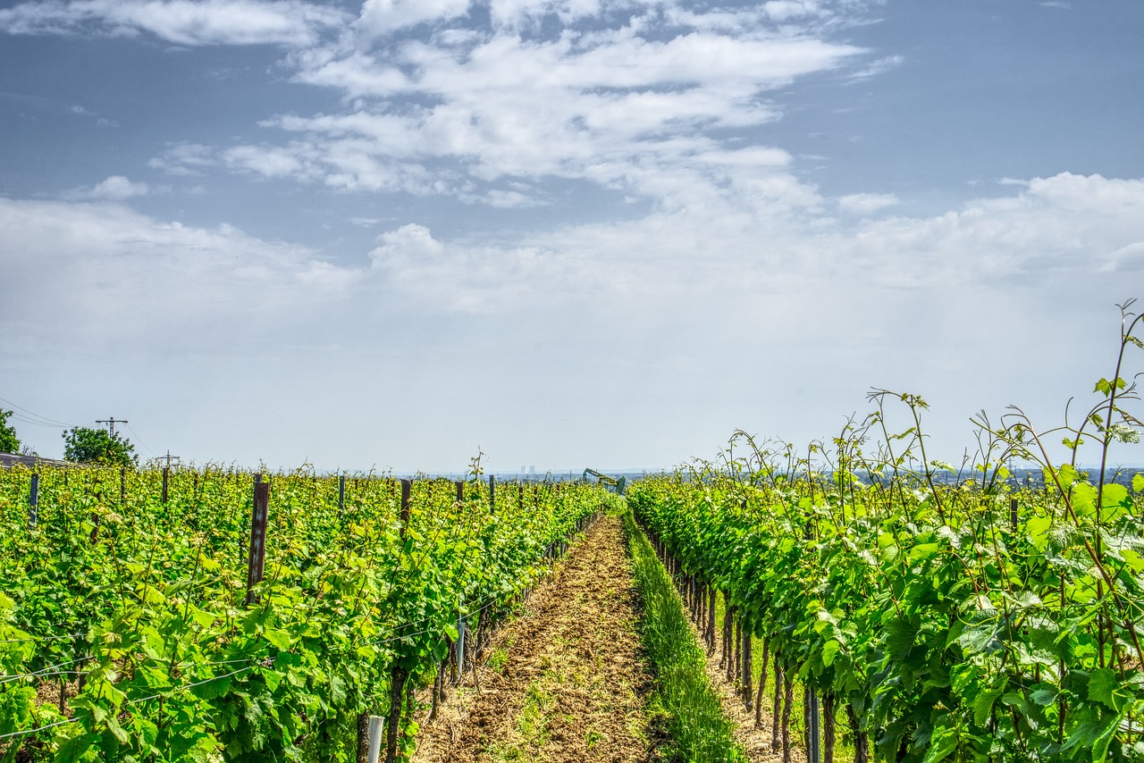 錢盤生最新消息全面解析與動態(tài)更新